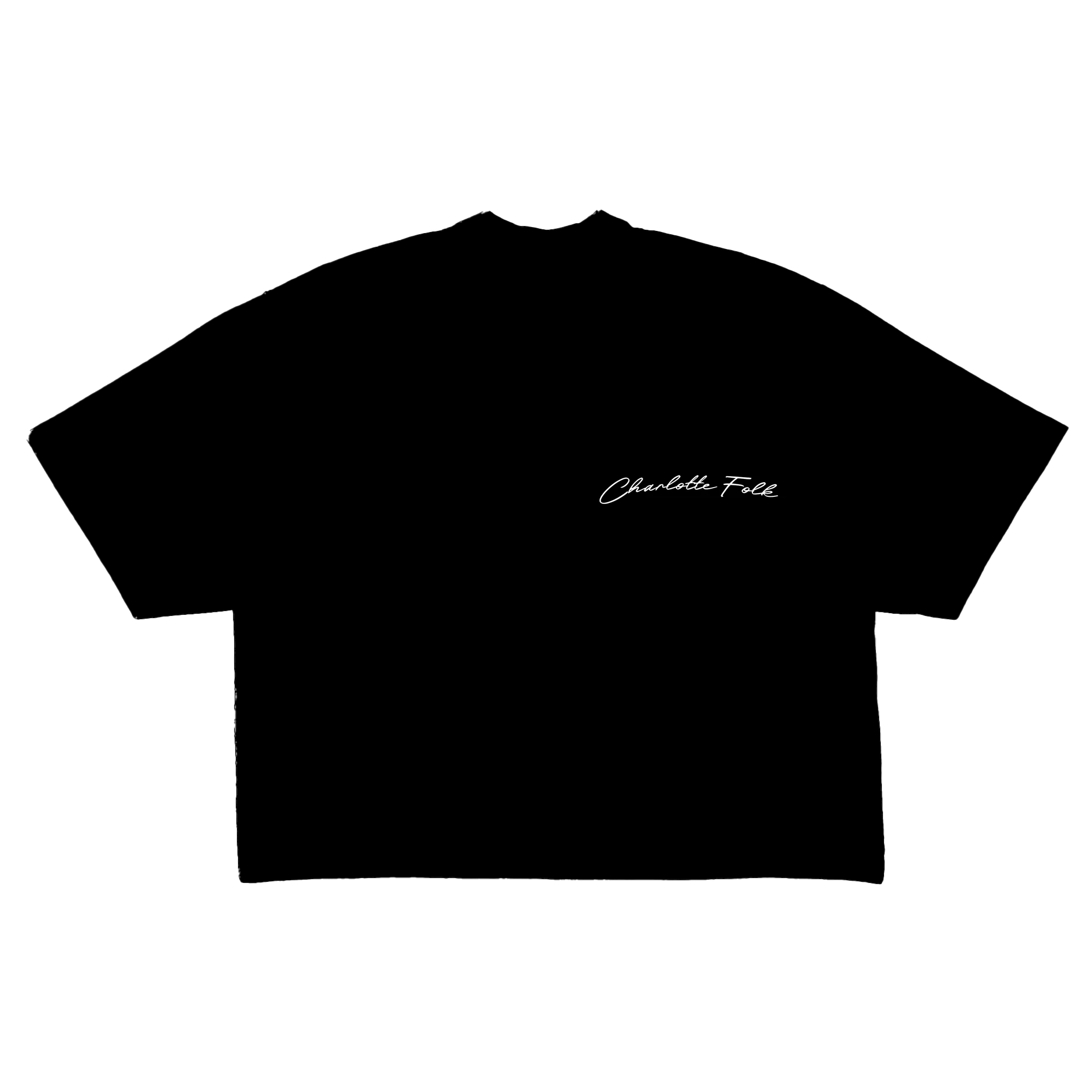 Timeless Silhouettes Cropped Tee - Image 3